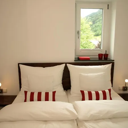 Alpenflair Whg 307 Edel-weiss Apartment