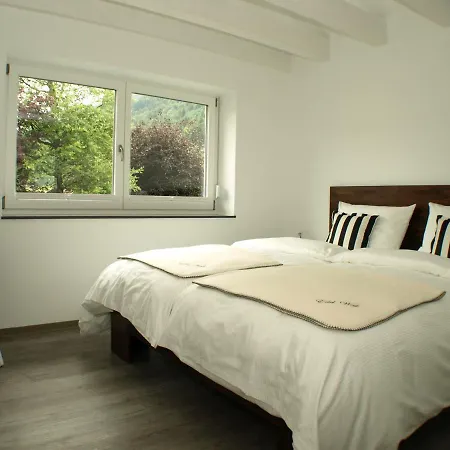 Alpenflair Whg 307 Edel-weiss