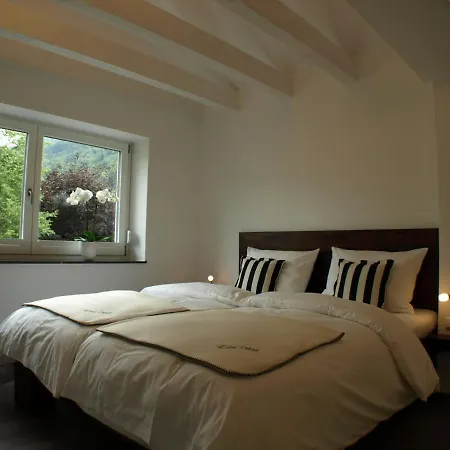 Appartement Alpenflair Whg 307 Edel-weiss *